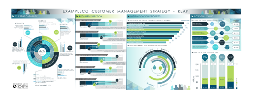 Exampleco customer management strategy - REAP